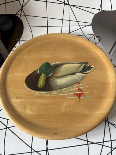 Mallard duck lazy - duck,